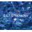 E.S.T. Symphony_0