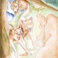 Wolf of The Cosmos - CD