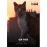 Gatos - DVD_0