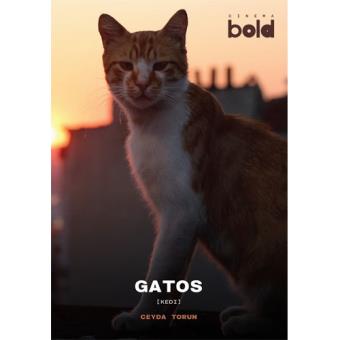 Gatos - DVD