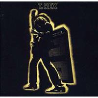 Electric Warrior