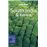 Lonely Planet Travel Guide - South India & Kerala 10_0