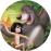 BSO Music From The Jungle Book (Picture Disc)_0