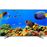 Smart TV Hisense ULED UHD 4K HDR 55N6800 140cm_0