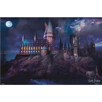 Poster Harry Potter - Spells & Charms