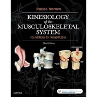 Kinesiology of the musculoskeletal