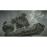 Shadow of the Colossus PS4_1