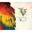 Bossa Nova Deluxe (3CD)_0