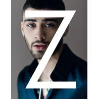 Zayn - Autobiografia