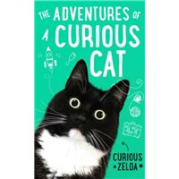 Adventures of a curious cat