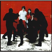 White Blood Cells - LP