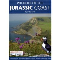 Wildlife of the jurassic coast