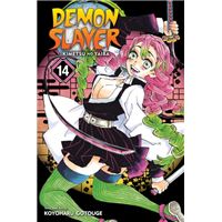 Demon Slayer: Kimetsu no Yaiba Vol. 14