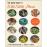 The Quick Guide to Wild Edible Plants_0