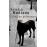Chien de Printemps_0