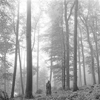 Folklore - CD