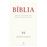 Bíblia - Livro 2: Novo Testamento: Apóstolos, Epístolas, Apocalipse_0