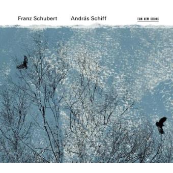 Schubert | Sonatas, Impromptus & Moments Musicaux (2CD)