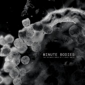 Minute Bodies (Limited-Deluxe-Edition) (DVD+CD)