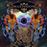 Crack the Skye (Special Edition CD+DVD)_0