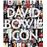 David Bowie Icon_0