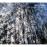 Metamorphosis & Resonances - CD_0