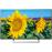 Smart TV Android Sony UHD 4K HDR KD55XF8096BAEP 139 cm_0