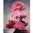 Pink: The History of a Punk, Pretty, Powerful Colour_0