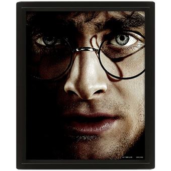 Poster 3D Harry Potter e Voldemort