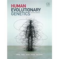 Human evolutionary genetics