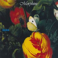 Good - Deluxe - 2LP 180g Vinil 12''