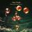 Who Do We Think We Are (remastered) (180g)_0