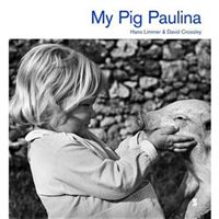 My Pig Paulina