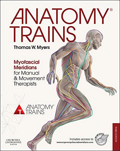 Anatomy-Trains.jpg