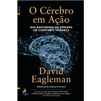 O Cérebro em Ação