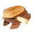 Sound Frog 20cm Terre_0