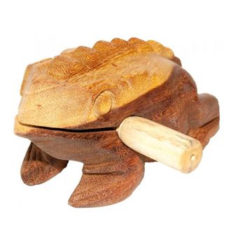 Sound Frog 20cm Terre