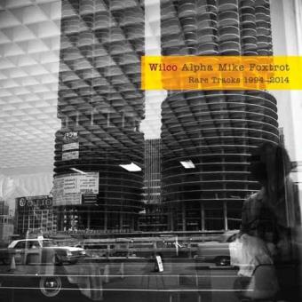 Alpha Mike Foxtrot: Rare Tracks 1994 - 2014 (180g) (Limited Numbered Edition)