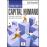 Scorecard de Capital Humano_0