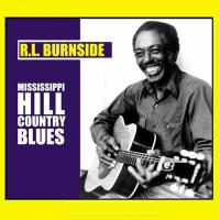 Mississippi hill country blues (lp)