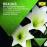 Brahms | Ein Deutsches Requiem_0