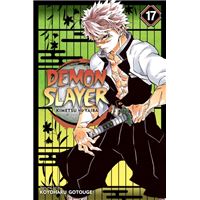 Demon Slayer: Kimetsu no Yaiba, Vol. 17 : 17