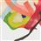 Blume - 2LP + MP3_0