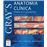 Gray Anatomia Clínica para Estudantes_0
