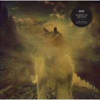 The Beauty Of Our Youth (180g) (Limited Edition) (Colored Vinyl) (LP + CD)