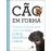 Cão em Forma_0