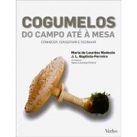 Cogumelos: Do Campo Até à Mesa