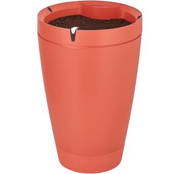 Parrot Pot - Terracota
