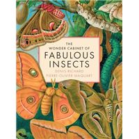Wonder cabinet of fabulous insects