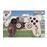 Captain Tsubasa Combo Pack Versus PS4_0